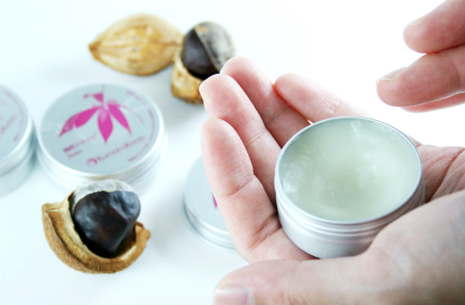 メディア掲載歴／雑誌